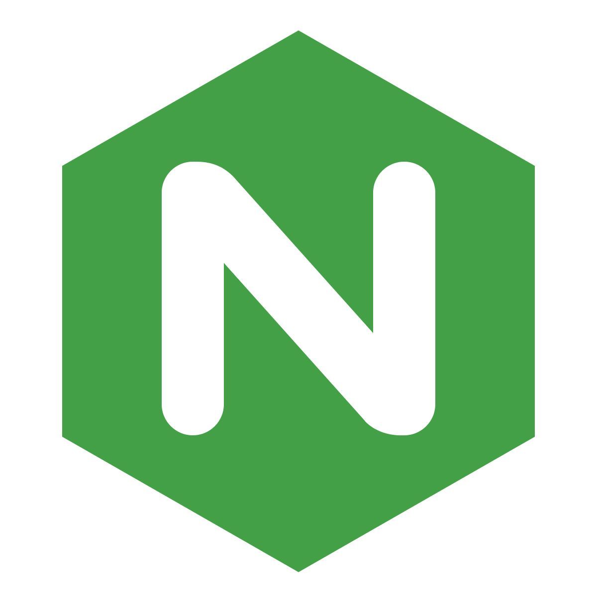Nginx icon in Color style
